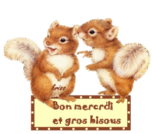 Gif animé Bon mercredi écureuil